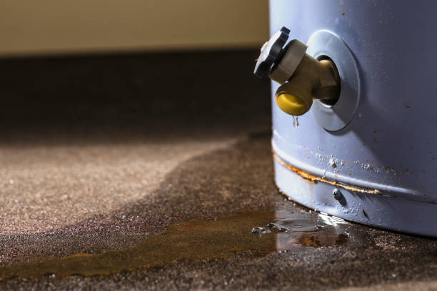 Best Flood damage cleanup  in Youngtown, AZ