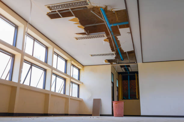 Best Flooded house restoration  in Youngtown, AZ