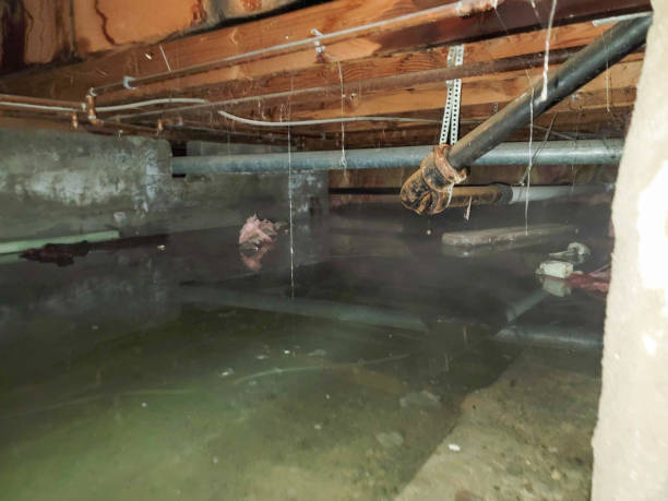 Water damage restoration insurance claims in AZ