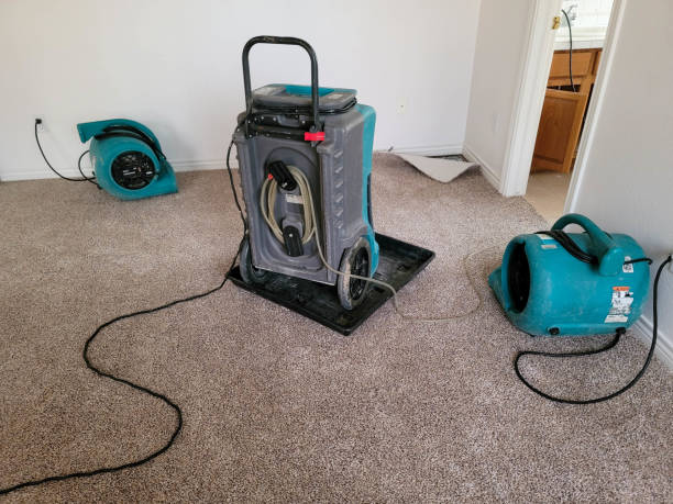 Best Carpet water damage restoration  in Youngtown, AZ