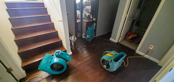 Best Flood damage cleanup  in Youngtown, AZ