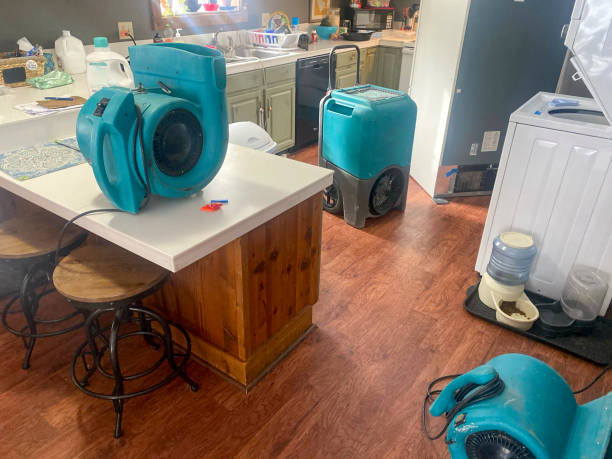Best Water damage cleanup near me  in Youngtown, AZ