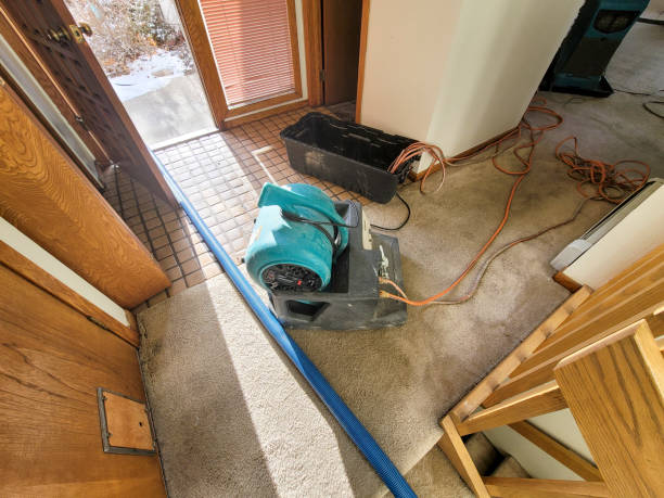 Best Residential water damage restoration  in Youngtown, AZ