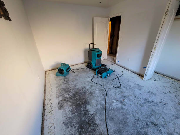 Best Sewage cleanup and water damage restoration  in Youngtown, AZ