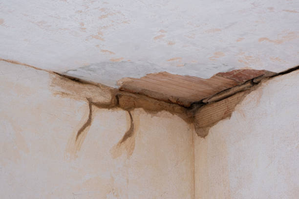 Best Professional water damage repair  in Youngtown, AZ