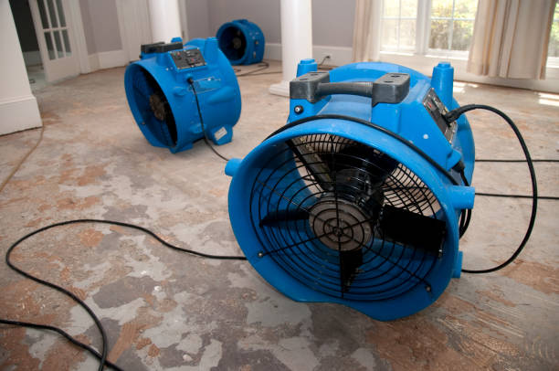Professional Water damage restoration in AZ