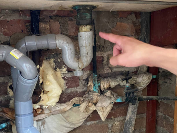 Best Ceiling water damage repair  in Youngtown, AZ