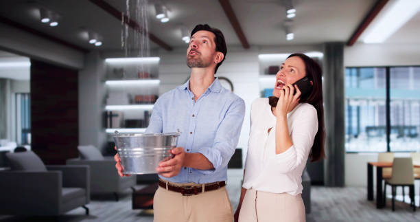 Best Carpet water damage restoration  in Youngtown, AZ