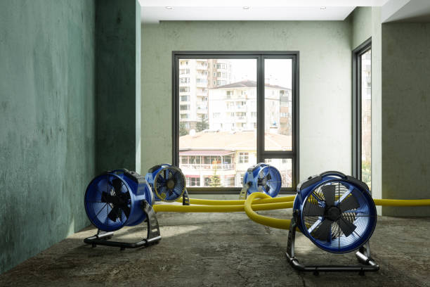 Best Water damage contractors near me  in Youngtown, AZ