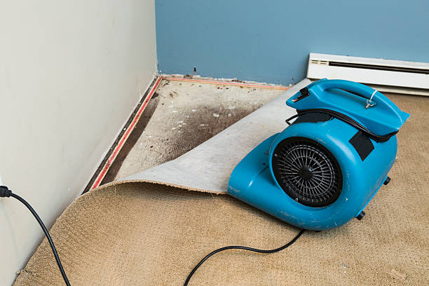 Best Local water damage restoration  in Youngtown, AZ